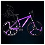 Wmmner Hardtail Mountainbike, 61 cm (24 Zoll), 12 Konstellationen für Mountainbike, für Männer und Frauen, Mountainbike mit doppelter Scheibenbremse, Fahrrad