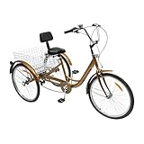 24 Zoll 6 Gang Erwachsener Fahrrad,Verstellbarer Lenker,Mit RüCkenlehne,Radschutzbleche,Reflektierende Streifen,Bruttogewicht 27,3 Kg FüR MäDchen, Jungen, Herren Und Damen Hollandfahrrad Citybiker,Go