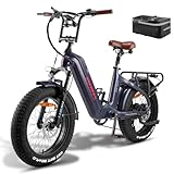 Fafrees F20 Master ebike 48V 22.5Ah SamsungAkku, Carbonfaserrahmen Elektrofahrräder 20 * 4.0 Zoll, e Bike Herren Damen 60N.m Motor, Shimano 7S, Pedelec Lagergewicht 150KG (Buntes Grau)