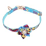 Balacoo 4 Stück Haustierhalsband catchring festlich Dog Collars Wedding y para medianos Perlenhalsband Hundehalsband Mädchen Hundehalsbänder für mittelgroße Hunde Metallknopf Katze Nylon