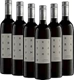 Cabernet Sauvignon Triebaumer Rotwein 6 x 0,75l VINELLO - 6 x Weinpaket inkl. kostenlosem VINELLO.weinausgießer