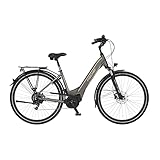 Fischer E-Bike City, CITA 6.0i Elektrofahrrad für Damen und Herren, RH 44 cm, Mittelmotor 50 Nm, 36 V Akku im Rahmen, Platingrau matt, 28 Zoll