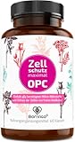 BonVigo® OPC Zellschutz extrem 60 Kapseln - ALLE erwiesen wirksamen Nährstoffe zum Schutz der Zellen, Folat für normale Blutbildung - Natur-Komplex: OPC-Traubenkernextrakt, Pinienrinde, Cranberry