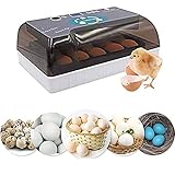 KIRLULU Eierbrutkasten, Eierinkubator Brutmaschine für Eier Eierbrutkasten Mini 12 Maschine Vollautomatisch Digital LED Drehen