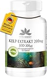 Kelp Extrakt 200mg - 300mcg Jod - 120 Tabletten - Kelp Algen | HERBADIREKT by Warnke Vitalstoffe - Deutsche Apothekenqualität