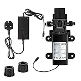 VerRich DC 12 V Wasserpumpe mit Netzteiladapter, 116 PSI, 8 bar, Membranpumpe, eingebauter Druckschalter, 4 l/min, 1 GPM, 10 mm Anschluss für Wasserhähne, Wohnmobil, Wohnwagen