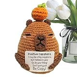 Capybara Plüschtier mit Haken, inspirierend, Plüschtiere – mit inspirierender Karte, weiche Heimdekoration, für Büro und Nachttisch