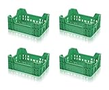 4x Gemüsekiste grün 40x30x16,5 Obstkiste * Gemüse Kiste Obst Kartoffeln 40x30x17