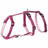 Nobby Sicherheitsgeschirr Turva Himbeere Hals: 34-48 cm, Brust: 40-65 cm, 15 mm