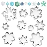 10 Stück Schneeflocken Ausstecher Set, Kleine Keksausstecher aus Edelstahl, Weihnachten Ausstechformen für Plätzchen, Backform, Kekse und Fondant, Marmeladenplätzchen für Kinder und Urlaub