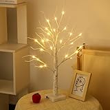 LED Baum Lichter Warmweiß, 60cm/2ft Birke LED Lichterbaum Innen mit 24 LEDs Licht, USB/Batteriebetrieben Leuchtbaum,Verstellbare Äste Innen Birkenbaum für Weihnachten Ostern Party Geburtstag Innendeko