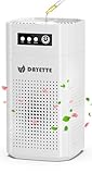 DAYETTE Luftreiniger Allergiker für Schlafzimmer & Auto, Mit Aroma Diffusor und Tragbarem HEPA 13 Filter gegen 99,97% Staub, Pollen, Tierhaare & Gerüche, 15dB Ultra-Leise Air Cleaner