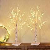 2er Set LED Baum Lichter Warmweiß, 60cm/2ft Birke LED Lichterbaum Innen mit 24 LEDs Licht, USB/Batteriebetrieben Leuchtbaum, Verstellbare Äste Innen Birkenbaum für Weihnachten Ostern Party Innendeko