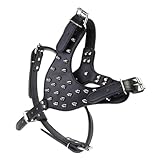Milisten Pet Round Tack Strap Hundegeschirr Mit Spikes Haushaltshundeweste Haustierbedarf Geschirr Zum Spazierengehen Geschirr Für Kleine Hunde Verschleißfestes Hundegeschirr Hunde