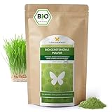 1kg BIO Gerstengras Pulver aus DEUTSCHLAND, Rohkost-Qualität, aluminiumfreie Verpackung, aus jungen Gräsern, ohne Zusätze, für grüne Smoothies (1000g)