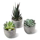 ALANGDUO Künstliche Sukkulenten im Topf, Mini Sukkulenten Künstliche, Kleine Kunstpflanze Wie Echt mit Topf, Dekorative Kunstpflanze für Hochzeit, Büro, Zuhause, Wohnzimmer, Badezimmer Dekoration