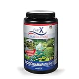 Fast X Teichschlamm-Entferner 1 kg - Natürliche Schlammreduktion für Gartenteiche, Sicher für Fische und Pflanzen, Verbessert Wasserqualität