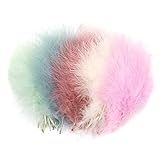 XPE 100 PCS federn zum basteln feder bunte federn feder basteln bunte indianer federn federn quasten bunte natürliche federn crafts feather federn bunt bunt feder stirnband