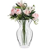 Belle Vous Kleine Vase aus Klarem Kristallglas - 18 cm Hohe Vase - Glasvase Zylinder Blumenvase Modern & Dekorativ - Für Zuhause, Hochzeit, Geschenk, Tisch- & Bürodekoration