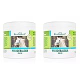 Kräuterhof® Pferdebalsam Duo Set kühlend (2 x 500ml) – kühlendes Massagegel für müde Muskeln & Gelenke mit angenehm kühlender Wirkung, Pflege bei Muskelkater, Rückenverspannungen & Gelenkbeschwerden