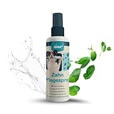 nimo® Zahnpflegespray Dentalspray | für Hunde, Katzen & Haustiere mit Minze & Kamille | natürliches Spray gegen Zahnstein, Mundgeruch, zur Zahnpflege, zur Zahnreinigung