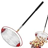 Walnuss Sammler Nusssammler Rollsammler Harvester,Haselnuss der Obstsammler,Leicht Outdoor Handwerkzeug,Stainless Steel Large Capacity High Density Steelwire Gap for Walnuts Pecans Chestnuts (L)