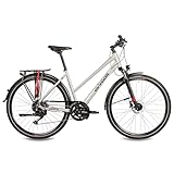 Airtracks Damen Trekking Fahrrad 28 Zoll Trekkingrad TR.2845L-C New 2x9 Gang Shimano CUES RD-U3020 Shadow - Silber Rahmenhöhen 48cm 52cm - Modelljahr 2024 (52cm (Körpergröße 170-185cm))