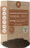 Wurzelaktivator mit Mykorrhiza 0.9 Kg - Bewurzelungspulver für Stecklinge & Pflanzen - Myko Aktiv Bewurzelungshormon - Mykorrhiza Pilze für Pflanzen - Wurzelaktivator für Stecklinge