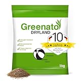 Rasen Nachsaat Greenato Dryland 1kg Grassamen – Turbo-Nachsaat Rasennachsaat trockenresistenter Rasensamen schnellkeimend Frühjahr und Herbst Trockenrasen Rasen lückendicht ausreichend für 40m²-100m²
