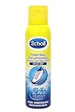 Scholl Fresh Step Geruchsstopp Schuhspray, mildes Fußdeo mit lang anhaltender Wirkung gegen unangenehme Gerüche, frische Schuhe, (1 x 150 ml)