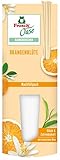 Frosch Oase Raumerfrischer Orangenblüte, Raumduft mit fruchtig-frischer Orangen-Note, Nachfüllpack, 1er Pack (1 x 90 ml)