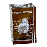 FHUILIJH 3D menschliches Kristall Herz Anatomie Modell, 3D Herz Modell Kristall Ärzte Geschenk, medizinische Statue für Psychologie Graduierung,Clear,10cm