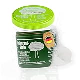 Zielinsky Universal-Stein, grüner Stein, Putzstein, Reinigungsstein - Haushaltsdose, 1er Pack (1 x 900 g + 2 gratis spezial Schwämme)