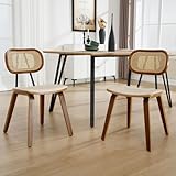 Ya-Home Rattan Esszimmerstühle 2er Set Küchenstuhl mit Holzbeinen Rattanstuhl Sitzfläche aus Kunstleder Polsterstuhl für Esszimmer, Beige