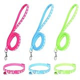 Giantree 3er Set Welpenhalsbänder mit Leine Set, Hundehalsband und Leine, Verstellbares Haustier Hundehalsband mit Leine Nylon Haustier Halsband für Welpen Kleine Mittlere Hunde (rot+blau+grün)