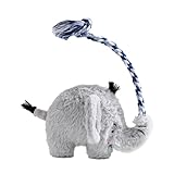 Generisch Hund Quietschspielzeug,Weiches Hundespielzeug mit Quietschfunktion - Interaktiv Beschäftigungsspielzeug Für Pudel Welpen Senioren Hunde Indoor Spielspaß Und Geistige Förderung