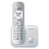 Panasonic Dual-Micro/Nano KX-TG6851GS Schnurlostelefon (Bis zu 1.000 Telefonnummern sperren, übersichtliche Schriftgröße, lauter Hörer, Voll-Duplex Freisprechen) perl-silber