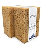 Universal Reinigungsschwamm - 10 Stück - 17,0 x 12,5 x 5,0 cm - Autoschwamm, Tafelschwamm, Schwamm - wolk