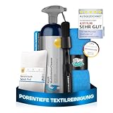 Koch Chemie Multi Interior Cleaner (750ml) Innenraumreiniger + Scrub Pad + Shiny Freaks Pinsel + Mikrofasertuch - Auto Innenraum Reiniger, Kunststoff, Polster, Leder, Cockpitpflege, Auto Reinigungsset