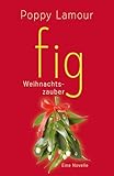 fig – Weihnachtszauber: Novelle