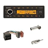 Continental 24V DAB+ Radio RDS USB MP3 WMA Bluetooth Tunerinkl. DAB Scheibenantenne + ISO Radio Verlängerung/Adapter + Antennenadapter