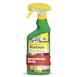 Neudorff BioKraft Grundstoff Natron – Anwendungsfertiges Spray gegen Pilzkrankheiten an Rosen und anderen Zierpflanzen, 100% natürlich, 500 ml