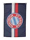 FC Bayern München I Hissfahne Navy 180 x 120 cm mit Ösen I Navy