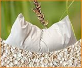Bio Hirsekissen 40 x 80 cm aus 100% Bio-Baumwolle