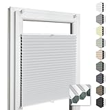 Home-Vision® Premium Doppelplissee Wabenplissee ohne Bohren mit Klemmfix (Weiß-Weiß, B40cm x H120cm) Modern Klemmfix Blickdicht Plissee Sonnenschutz Hitzeschutz Jalousie für Fenster Thermo