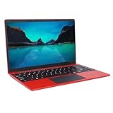 14,1 Zoll Computer für Win 11 PRO Laptop, Laptop J4125 Prozessor, 1920 X 1080 FHD Bildschirm, Ultradünner USB3.0 Business Laptop, LPDDR4 8 GB Computernetzwerk (8GB+256GB)