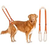 Lollanda Gehhilfe für Hunde Hinten, Tragehilfe für Hunde, Hundegeschirr für Die Hinterbeine, Gehhilfe Hunde zum Unterstützung für Kranke Hund, Älterer Hund, Fördert die Mobilität des Hundes (Orange)