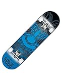 MUWO Street Skateboard 31 x 8 Zoll - hochwertiges Komplettboard für Einsteiger aus stabilem Holz und Aluminium, geeignet für Kinder, Teenager und Erwachsene mit verschiedenen Motive (Freebird)