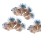 SHTGOI Pfauenfedern 10 Stück 3-6cm lang natürliche kleine Federn deko bastelfedern tierfedern DIY Basteln Zubehör für Traumfänger Hochzeitsfest Party Hochzeitsdekoration Ohrringe Karneval Zuhause
