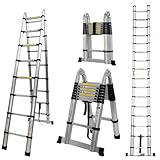 COOCHEER 5M Teleskopleiter 2 in 1 Multifunktionsleiter Klapptbar, Belastbarkeit bis 150 kg (2,5+2,5m), Sliber& Schwarz